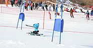 Robots compete in their own Olympics ski tournament, capture our hearts - The Verge