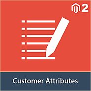 Magento 2 Customer Attributes - Custom Registration Fields | MageSales