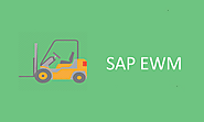 Hands on SAP EWM Training with Live Projects - FREE DEMO !!!!