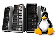 Powerful Managed Linux Dedicated Server from i2k2 Networks