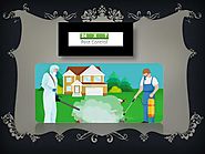 PPT - Choosing your Reliable Pest Control Service in Delhi PowerPoint Presentation - ID:8069579