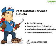 Pest Control New Delhi