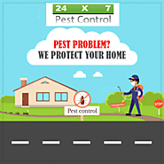 Priceless Services Pest Control Delhi NCR