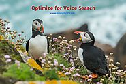 SEO 101: Optimize for Voice Search to Rank Higher in 2018!