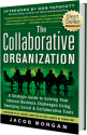 The Collaborative Organization |