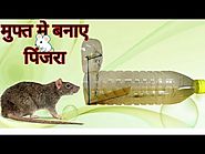 चूहे पकडने का पिंजरा बनाए | How to trap a mouse by Bottle Cup || चूहा भगाने का घरेलु उपाय