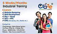 6 Weeks/Months industrial training by craze info
