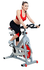Top 10 Best Exercise Bikes in 2018 Reviews (February. 2018)