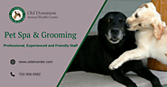 Pet Spa & Grooming Services - McLean VA Veterinarian