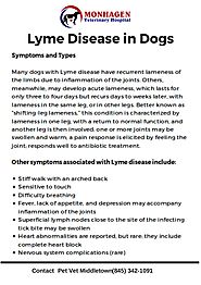 Lyme Disease in Dogs - Middletown Pet Vet Services