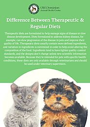 Difference between therapeutic and regular diets for your pets