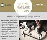 Benefits of Canine Massage Therapy