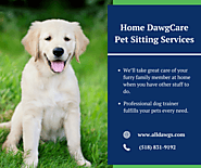 Pet Sitting Services by Expert Dog Trainer