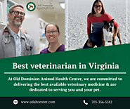 Best Veterinarian in Virginia | Old Dominion Animal Health Center
