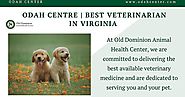 Best Veterinarian In Virginia | ODAH Center