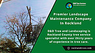 Premier Landscape Maintenance Company | Rockland Trees