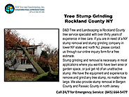Tree Stump Grinding Rockland County NY