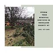 Storm Tree Removal Services in Rockland County NY
