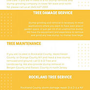 Tree Stump Grinding Services in Rockland County NY