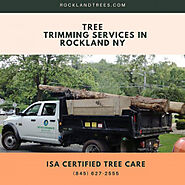 Tree Trimming Services in Rockland NY