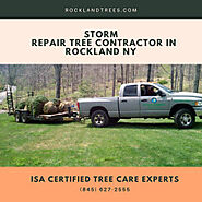 Storm Repair Tree Contractor in Rockland NY
