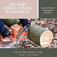 Tree Stump Removal Services in Rockland NY