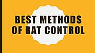 Rat Control Services | Rat Removal Service