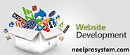 NeelPro System offers Professional Web Development Services for your business.