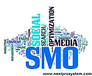 NeelPro System provides professional SEO/SMO Services