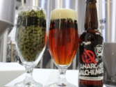 Buy Anarchist / Alchemist | BrewDog Beer
