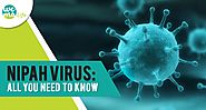 Nipah Virus(NiV): All you need to know!! – WeMaLife – Medium