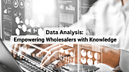 Importance of Data Analysis for Wholesalers | Salesorder