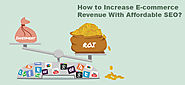 How To Improve E-commerce ROI In Budget? Choose Best SEO Package