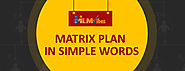 MLM Vibes Matrix Plan In Simple Words