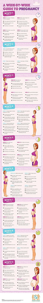 Guide to Pregnancy: Week by Week