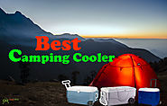Camping Cooler (Bear Proof Ice Chest)