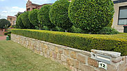 Lawn Care Services Sydney — Reasons For Conducting Lawn Cutting Services