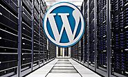 How to Choose the Correct Web Hosting Service for Your WordPress Website? - Area19Delegate