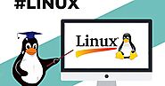 Best Project Based 6 Weeks Redhat Linux Summer Training in Gurgaon in 2022