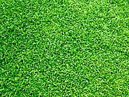Multifarious Benefits of Artificial Turf Laying!