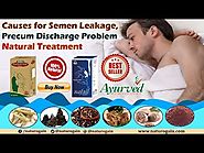 Causes for Semen Leakage, Precum Discharge Problem Natural Treatment