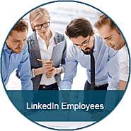Buy LinkedIn Employees | Price Starts From $15