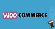 9 WooCommerce Plugins That Every Developer Should Have The Knowledge Of