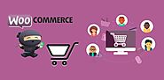 6 Things You Don’t Know WooCommerce Can Do Successfully For You