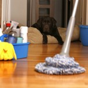 Domestic & Residential Cleaning