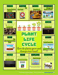 Plant Life Cycle Multimedia Text Set