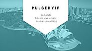 HYIP script for Bitcoin, Altcoin, Cryptocurrencies Investment Business - Pulsehyip