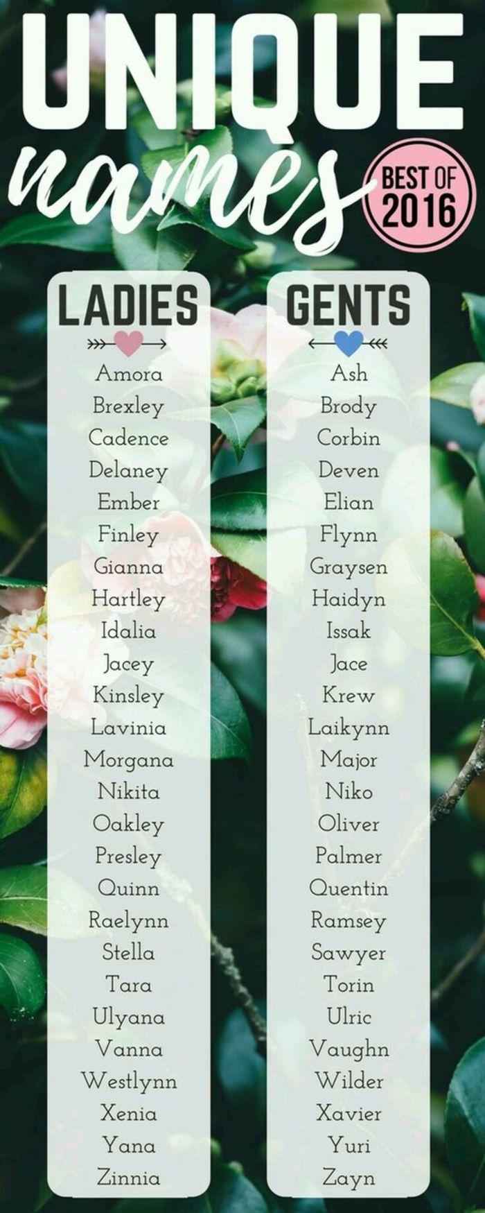 It S All In The Name A Listly List It S All In The Name A Listly List
