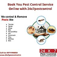 Professional Pest Control Expert in Delhi