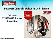 Pest Control Delhi-Most Effective & Odorless Services | edocr